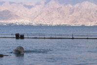 CRW_9850