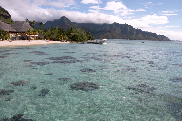 Crystal clear waters, Moorea