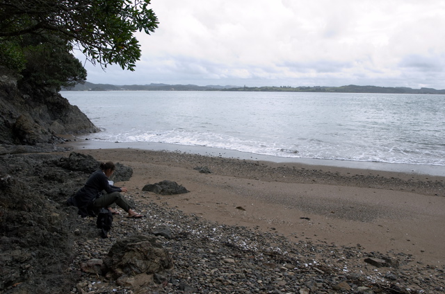 Secluded beach, Bay of Islands, New Zealand