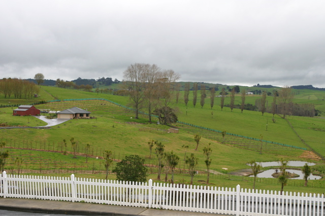 North island landscape, New Zealand