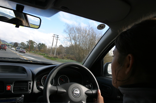 Driving in New Zealand