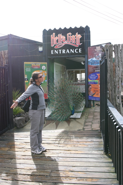 Hell's Gate, Rotorua, New Zealand