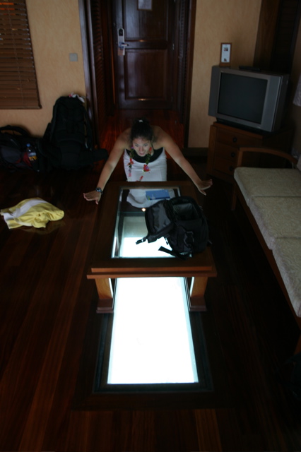 Glass bottom floor