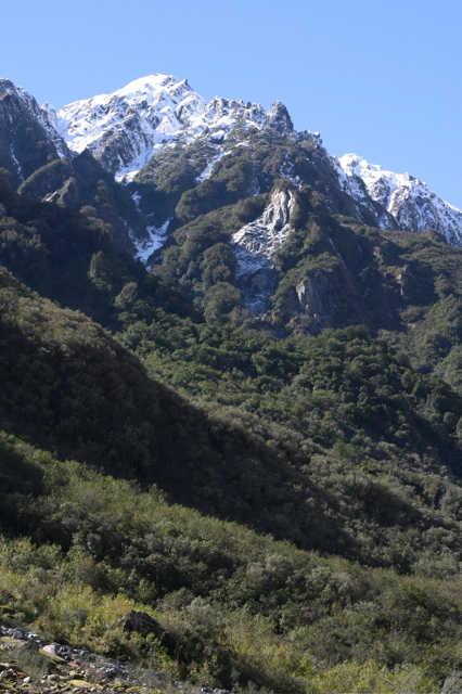 Snow-capped mountains, Fox Glacier, New Zealand