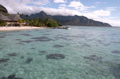 Crystal clear waters, Moorea