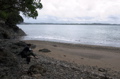 Secluded beach, Bay of Islands, New Zealand
