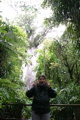 Largest tree in the Kauri Forest, New Zealand