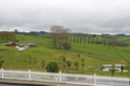 North island landscape, New Zealand