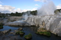 Geysers, Rotorua, New Zealand