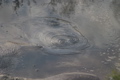 Bubbling, boiling mud, Rotorua, New Zealand