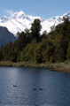 Mt. Cook reflection, Fox Glacier, New Zealand